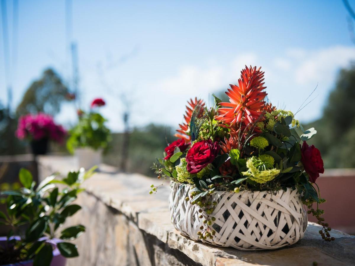 Sofias Cottage Razata Argostoli Ngoại thất bức ảnh